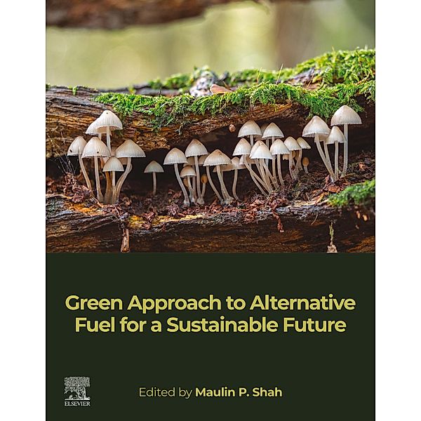 Green Approach to Alternative Fuel for a Sustainable Future