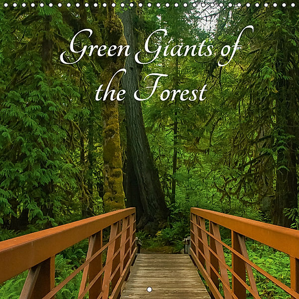 Green Giants of the Forest (Wall Calendar 2019 300 × 300 mm Square), Angelika Metzke