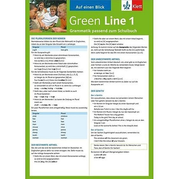 Green Line, Neue Ausgabe für Gymnasien: Bd.1 Auf einen Blick: Grammatik passend zum Schulbuch, Sabine Schlimm