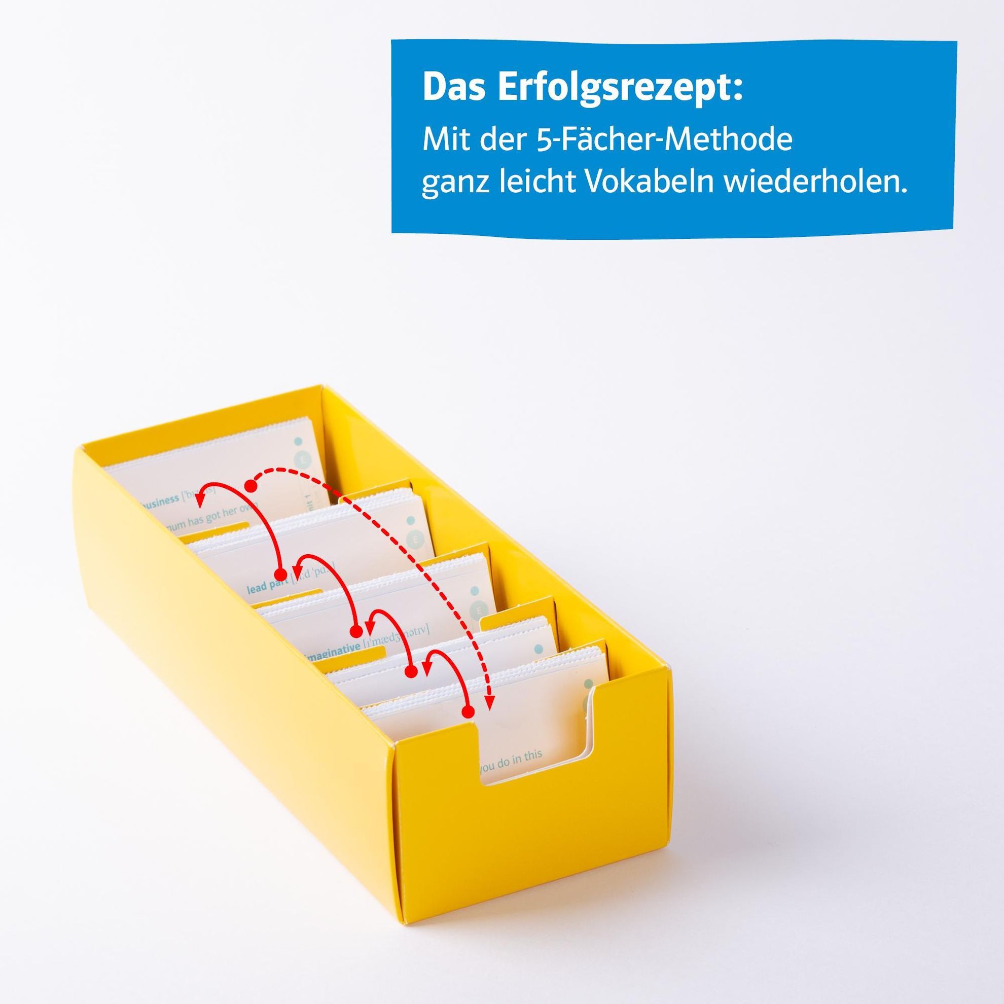 Green Line, Neue Ausgabe für Gymnasien: Bd.3 Karteikarten-Box zum Lehrwerk  Buch versandkostenfrei bei Weltbild.de bestellen