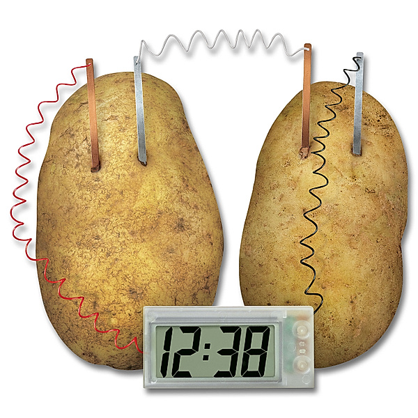 Green Science Kartoffeluhr, Experimentierkasten