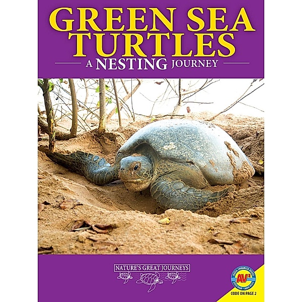 Green Sea Turtles: A Nesting Journey, Rebecca Hirsch