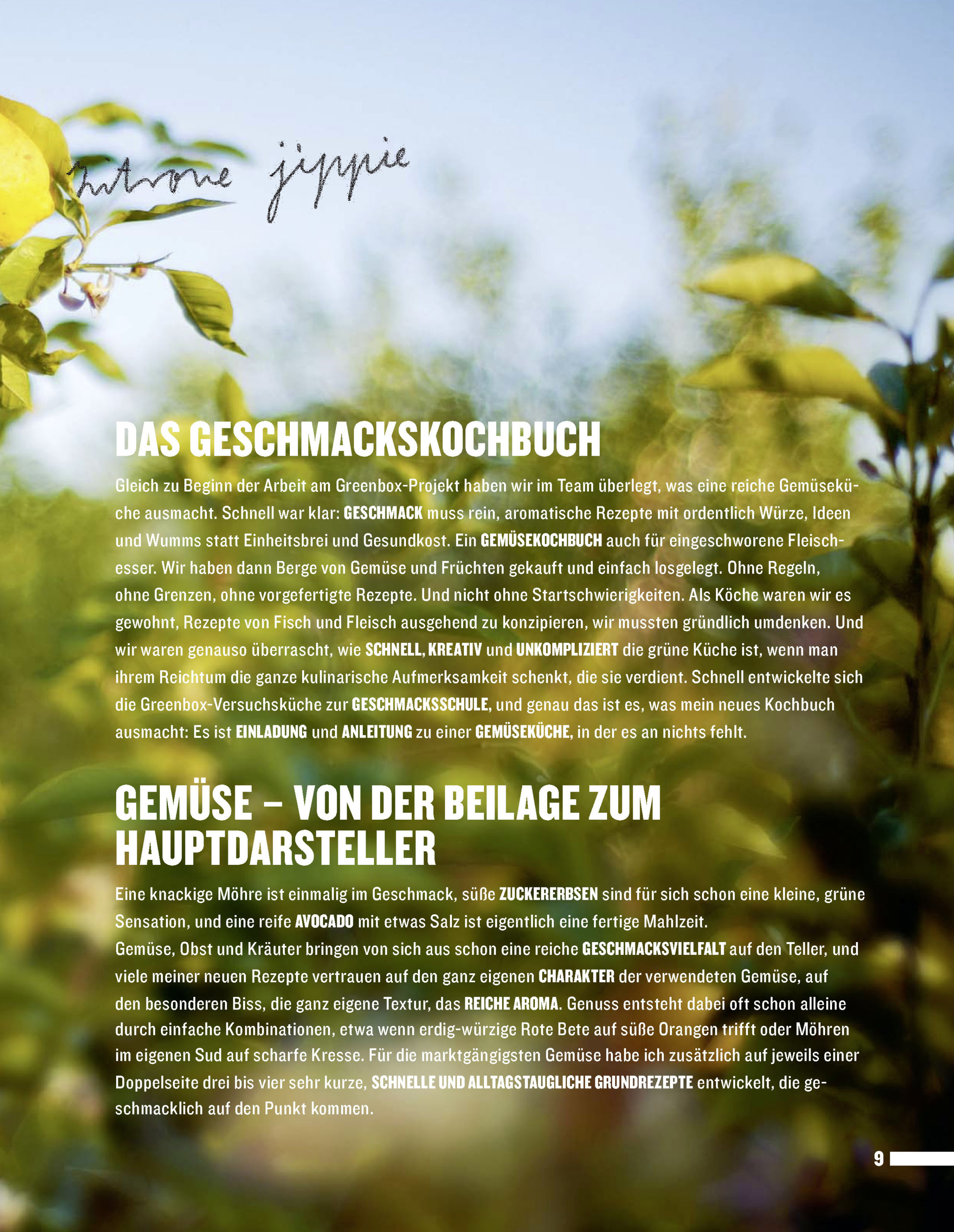 Greenbox - Tim grüne Küche versandkostenfrei bei Weltbild.de