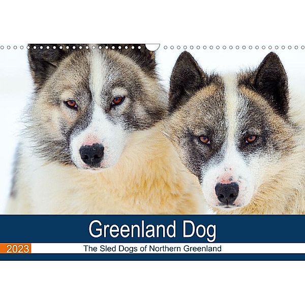 Greenland Dog - The Sled Dogs of Northern Greenland (Wall Calendar 2023 DIN A3 Landscape), Martin Zwick