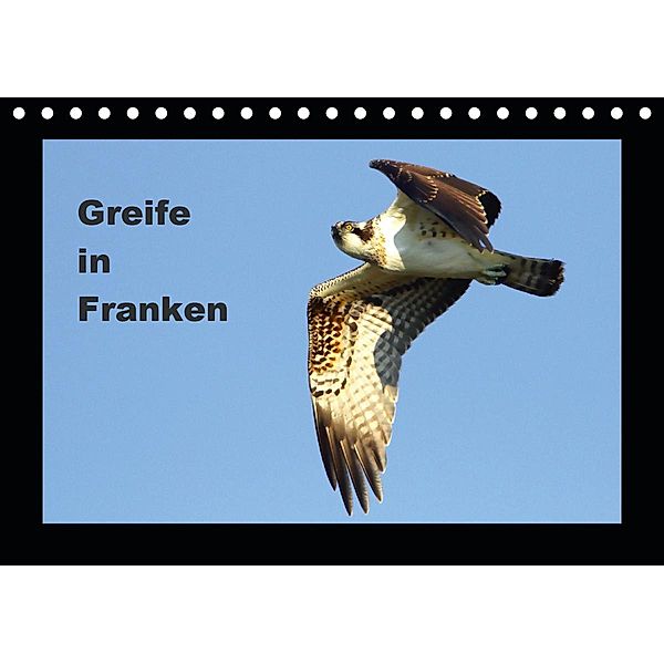 Greife in Franken (Tischkalender 2021 DIN A5 quer), Günter Bachmeier