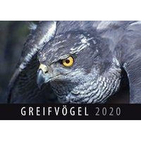 Greifvögel 2020