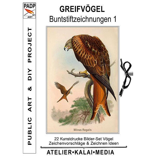 Greifvögel : Buntstiftzeichnungen 1