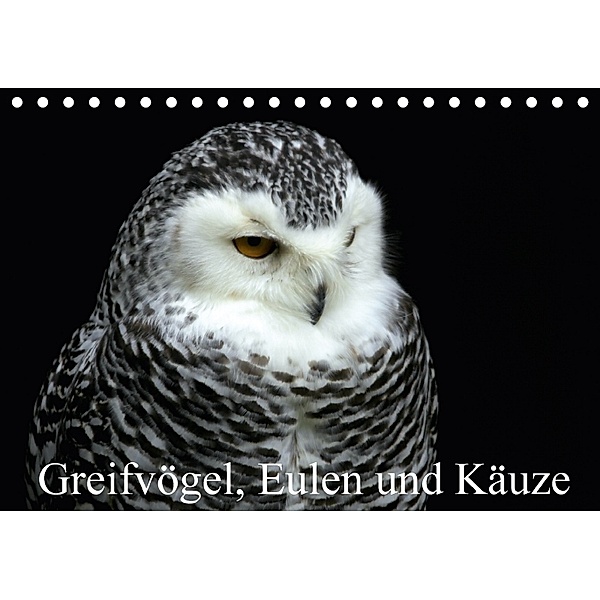 Greifvögel, Eulen und Käuze (Tischkalender 2018 DIN A5 quer), Arno Klatt