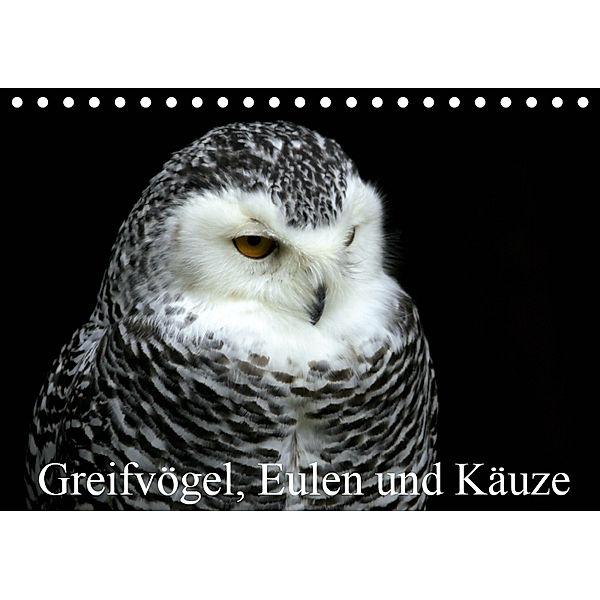 Greifvögel, Eulen und Käuze (Tischkalender 2019 DIN A5 quer), Arno Klatt