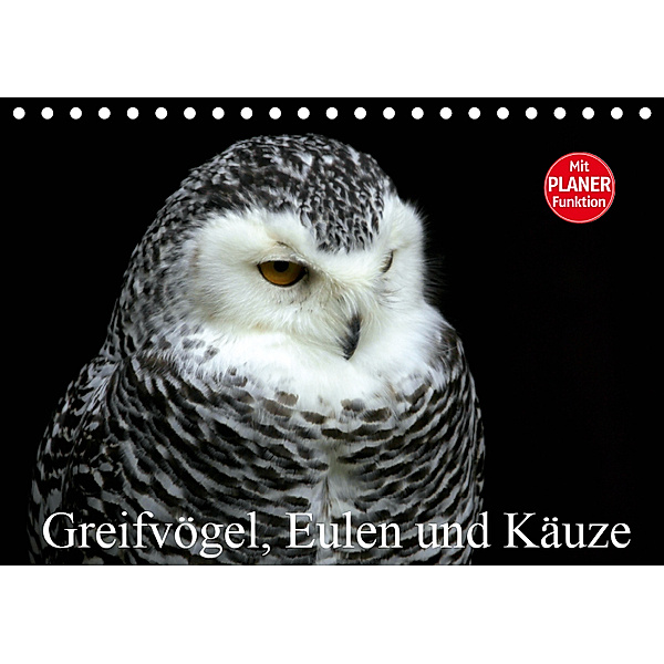Greifvögel, Eulen und Käuze (Tischkalender 2019 DIN A5 quer), Arno Klatt