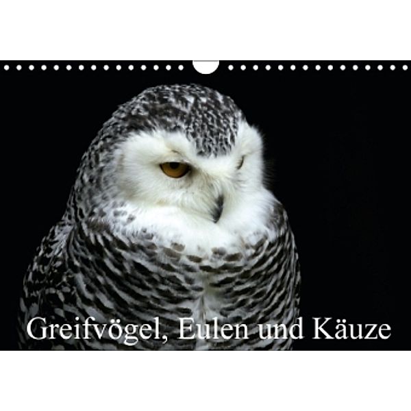 Greifvögel, Eulen und Käuze (Wandkalender 2016 DIN A4 quer), Arno Klatt