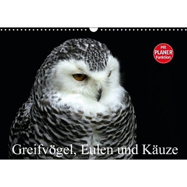 Greifvögel, Eulen und Käuze (Wandkalender 2016 DIN A3 quer), Arno Klatt