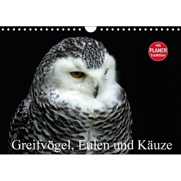 Greifvögel, Eulen und Käuze (Wandkalender 2017 DIN A4 quer), Arno Klatt