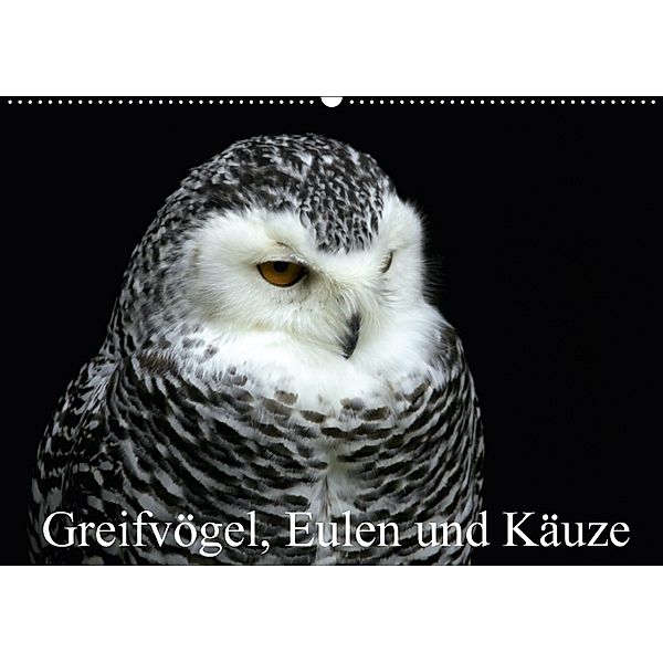 Greifvögel, Eulen und Käuze (Wandkalender 2018 DIN A2 quer), Arno Klatt