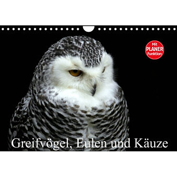 Greifvögel, Eulen und Käuze (Wandkalender 2022 DIN A4 quer), Arno Klatt