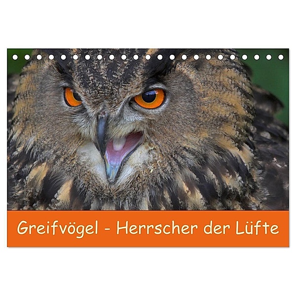 Greifvögel - Herrscher der Lüfte (Tischkalender 2024 DIN A5 quer), CALVENDO Monatskalender, Gabriela Wejat-Zaretzke