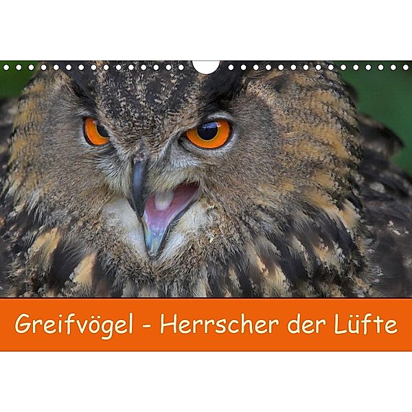 Greifvögel - Herrscher der Lüfte (Wandkalender 2021 DIN A4 quer), Gabriela Wejat-Zaretzke