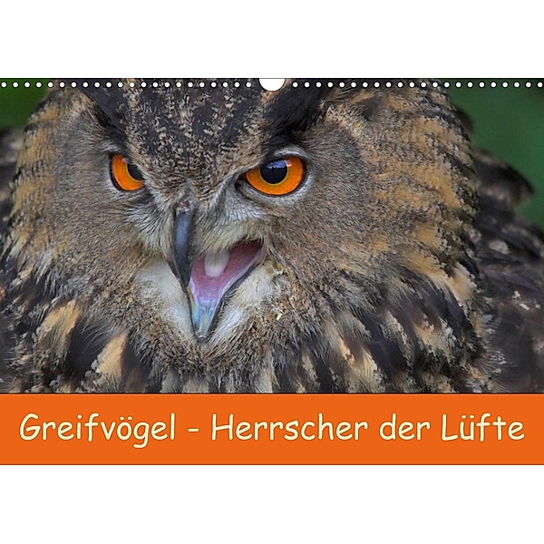 Greifvögel - Herrscher der Lüfte (Wandkalender 2023 DIN A3 quer), Gabriela Wejat-Zaretzke