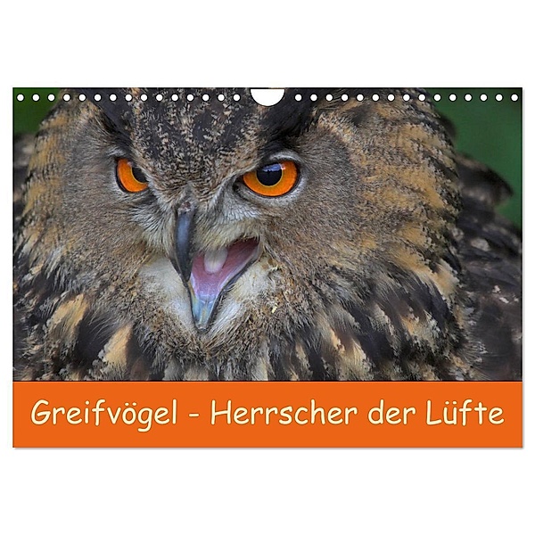 Greifvögel - Herrscher der Lüfte (Wandkalender 2024 DIN A4 quer), CALVENDO Monatskalender, Gabriela Wejat-Zaretzke