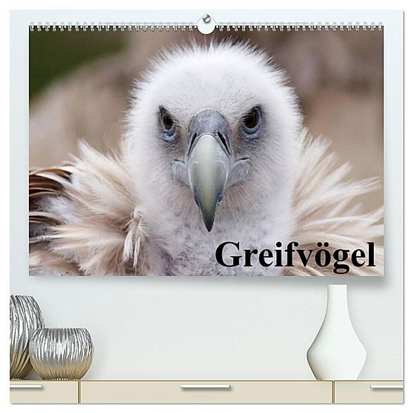 Greifvögel (hochwertiger Premium Wandkalender 2024 DIN A2 quer), Kunstdruck in Hochglanz, Elisabeth Stanzer