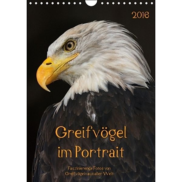 Greifvögel im Portrait AT-Version (Wandkalender 2016 DIN A4 hoch), Guido Tipka