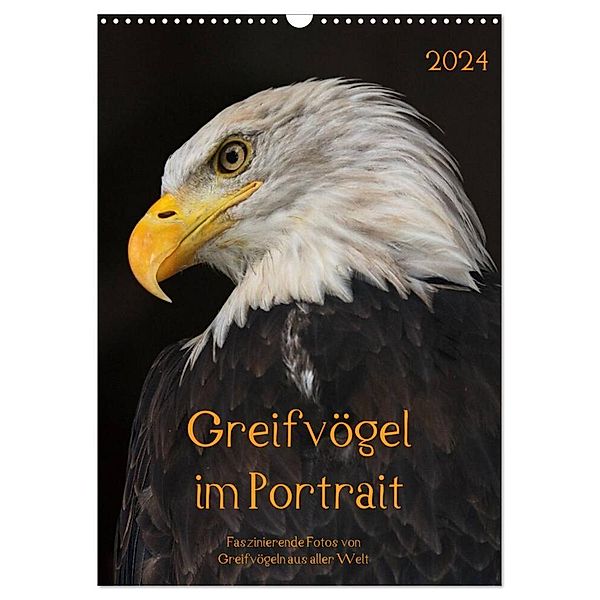 Greifvögel im Portrait (Wandkalender 2024 DIN A3 hoch), CALVENDO Monatskalender, Guido Tipka