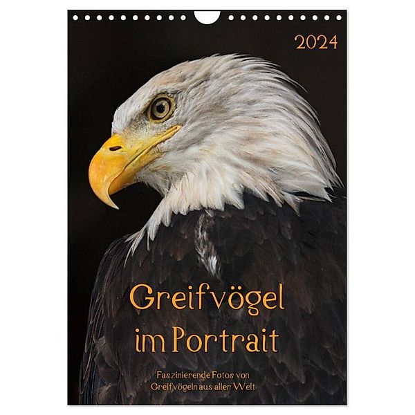 Greifvögel im Portrait (Wandkalender 2024 DIN A4 hoch), CALVENDO Monatskalender, Guido Tipka