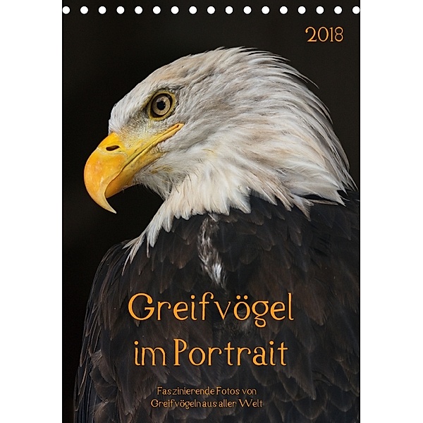 Greifvögel im PortraitAT-Version (Tischkalender 2018 DIN A5 hoch), Guido Tipka