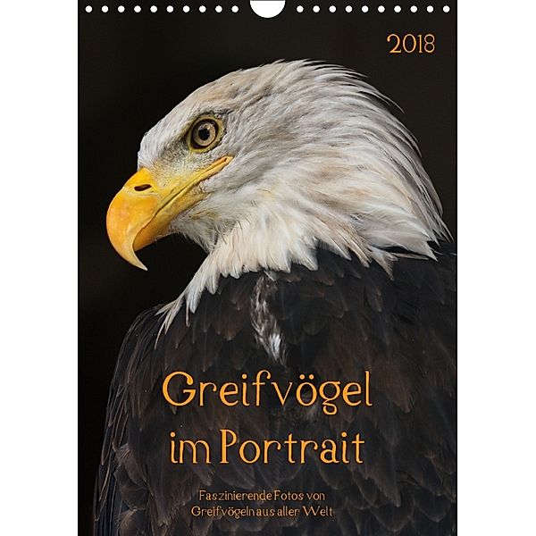 Greifvögel im PortraitAT-Version (Wandkalender 2018 DIN A4 hoch), Guido Tipka