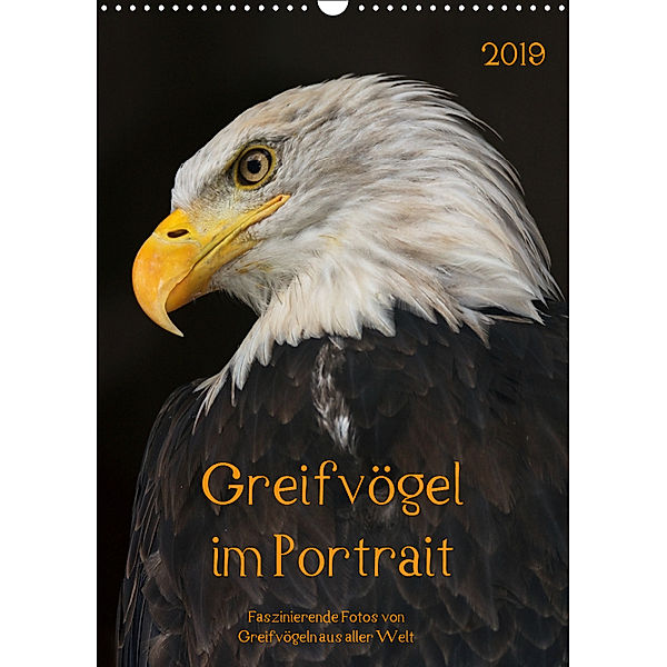 Greifvögel im PortraitAT-Version (Wandkalender 2019 DIN A3 hoch), Guido Tipka