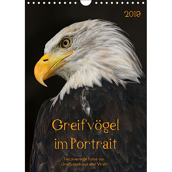Greifvögel im PortraitAT-Version (Wandkalender 2019 DIN A4 hoch), Guido Tipka