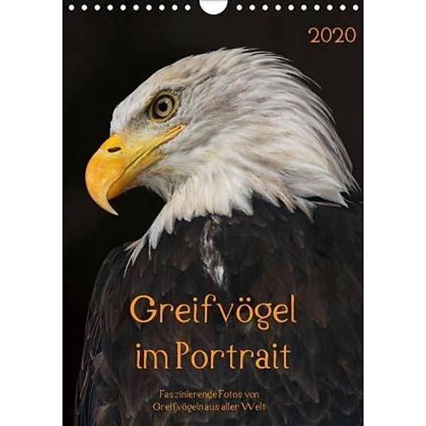 Greifvögel im PortraitAT-Version (Wandkalender 2020 DIN A4 hoch), Guido Tipka