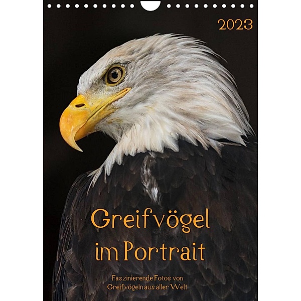 Greifvögel im PortraitAT-Version  (Wandkalender 2023 DIN A4 hoch), Guido Tipka