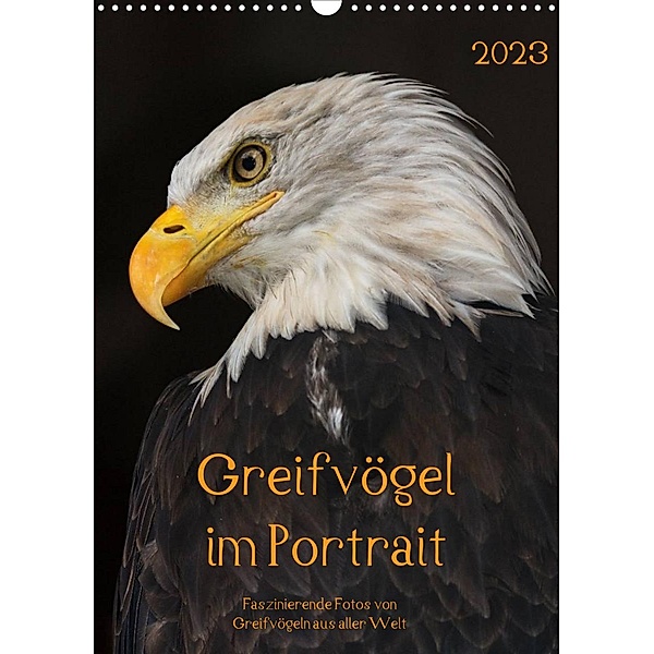 Greifvögel im PortraitAT-Version  (Wandkalender 2023 DIN A3 hoch), Guido Tipka