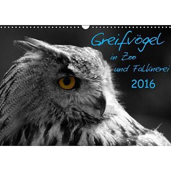 Greifvögel in Zoo und Falknerei (Wandkalender 2016 DIN A3 quer), Alexander Gök