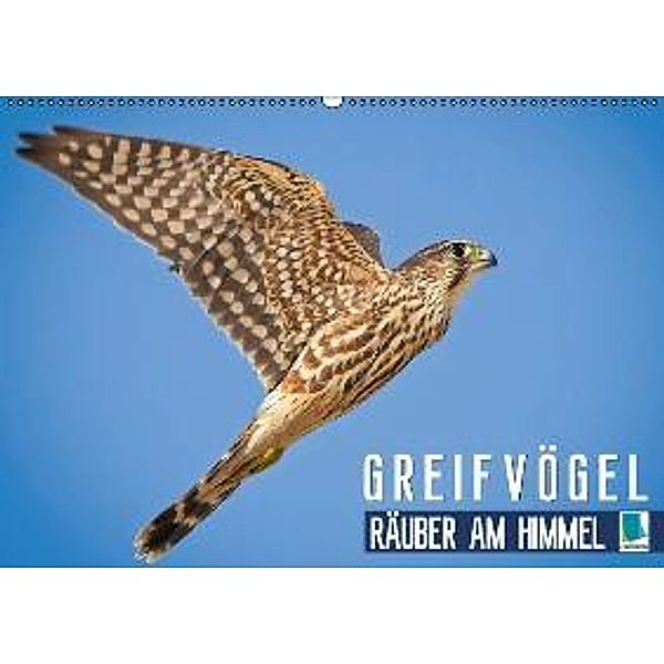 Greifvögel: Räuber am Himmel (Wandkalender 2016 DIN A2 quer), Calvendo