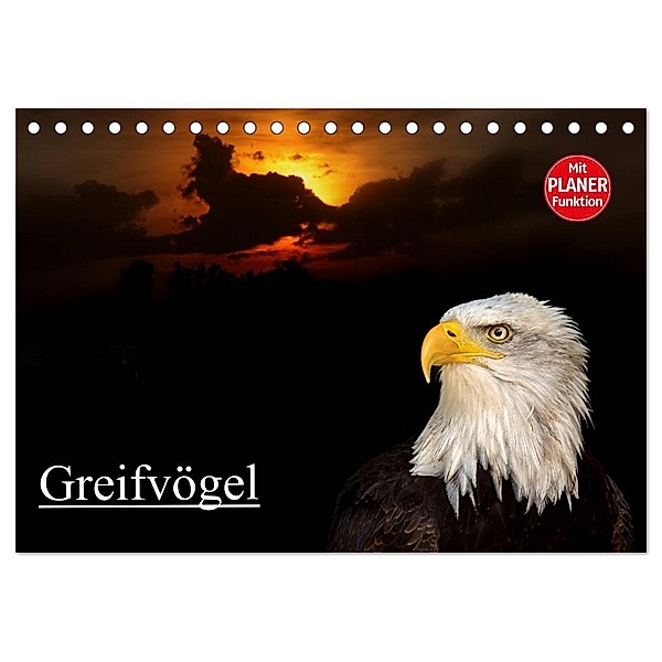 Greifvögel (Tischkalender 2024 DIN A5 quer), CALVENDO Monatskalender, Arno Klatt