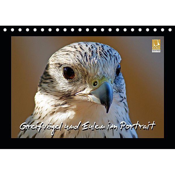 Greifvögel und Eulen im Portrait (Tischkalender 2019 DIN A5 quer), Stoerti-md