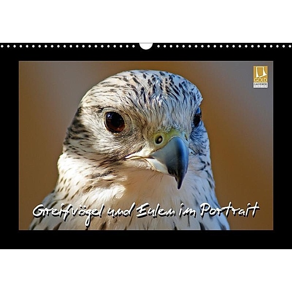 Greifvögel und Eulen im Portrait (Wandkalender 2017 DIN A3 quer), Stoerti-md, k.A. Stoerti-md