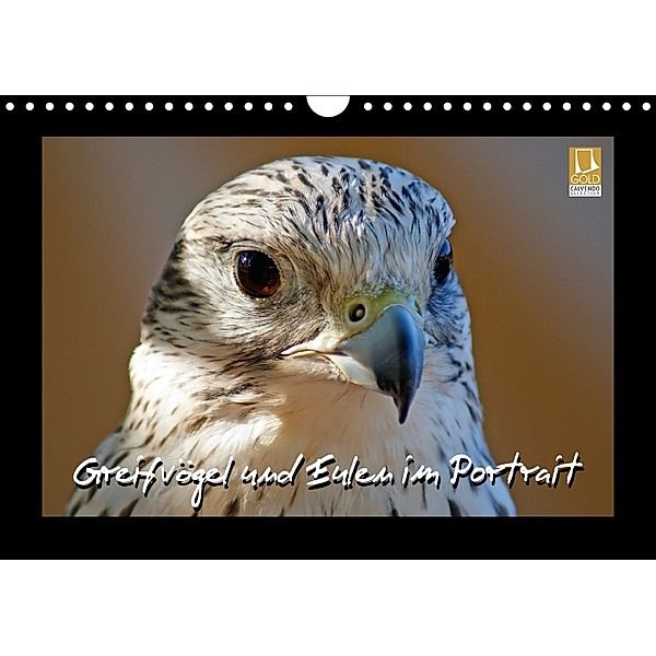 Greifvögel und Eulen im Portrait (Wandkalender 2018 DIN A4 quer), Stoerti-md