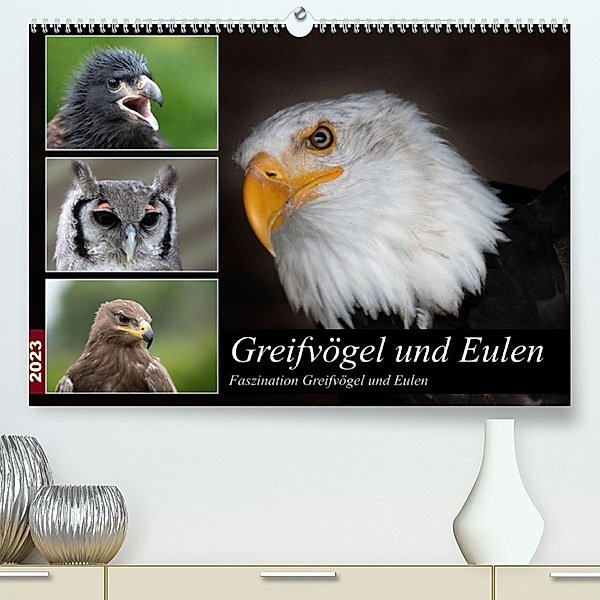 Greifvögel und Eulen (Premium, hochwertiger DIN A2 Wandkalender 2023, Kunstdruck in Hochglanz), Jürgen Trimbach