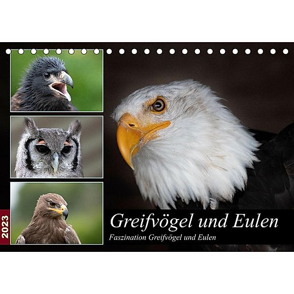 Greifvögel und Eulen (Tischkalender 2023 DIN A5 quer), Jürgen Trimbach