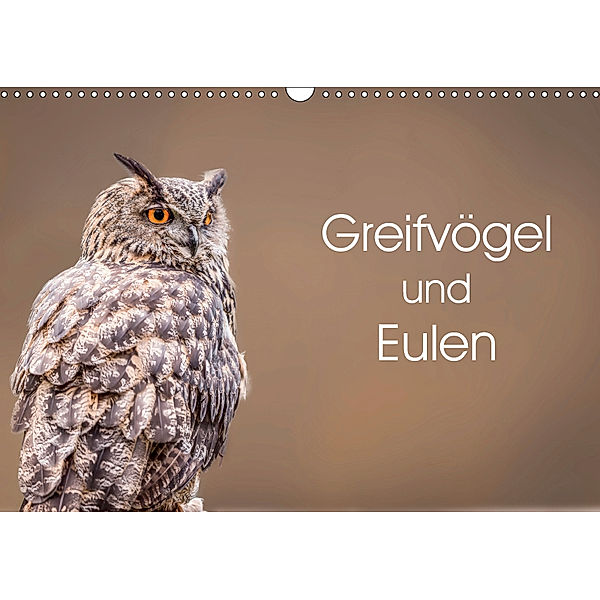 Greifvögel und Eulen (Wandkalender 2019 DIN A3 quer), Markus van Hauten