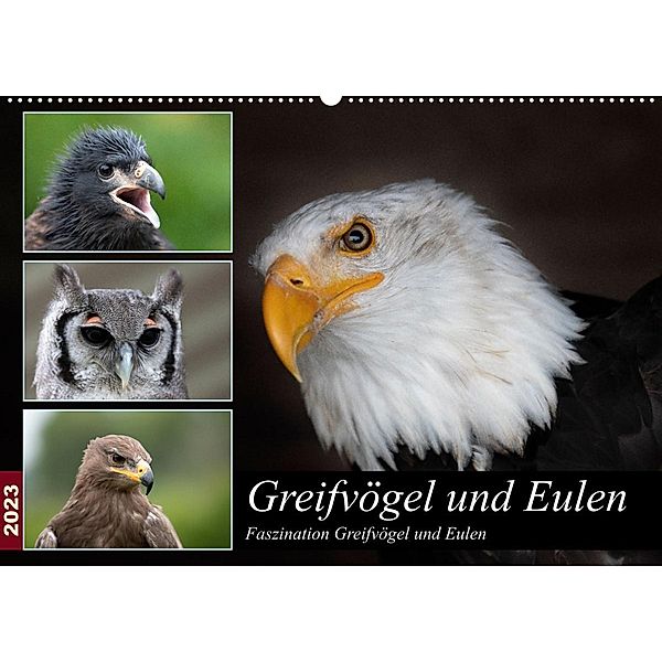 Greifvögel und Eulen (Wandkalender 2023 DIN A2 quer), Jürgen Trimbach