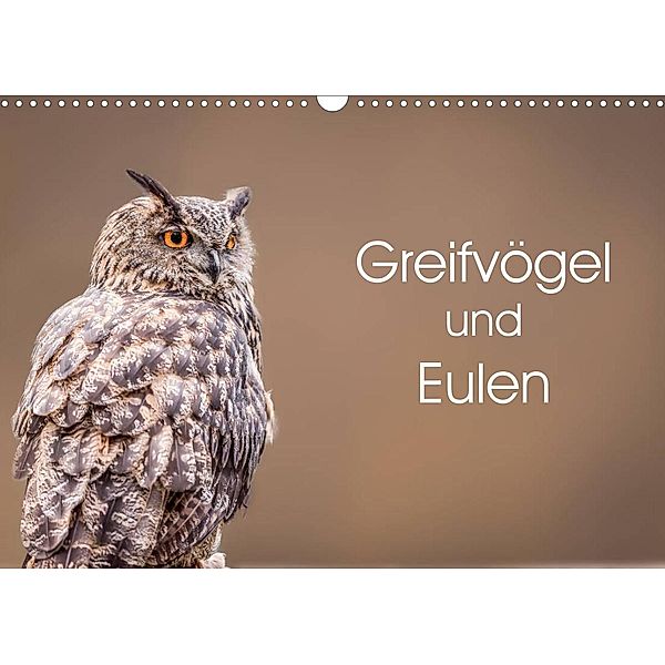 Greifvögel und Eulen (Wandkalender 2023 DIN A3 quer), Markus van Hauten