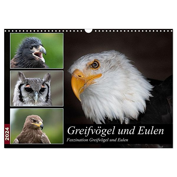 Greifvögel und Eulen (Wandkalender 2024 DIN A3 quer), CALVENDO Monatskalender, Jürgen Trimbach