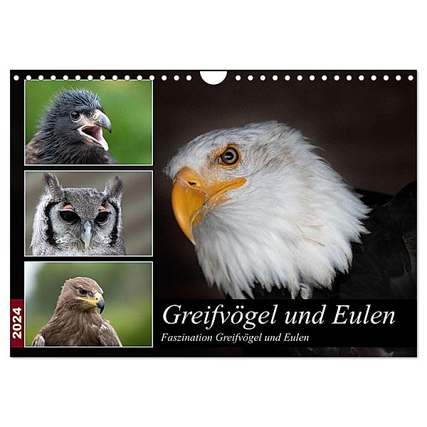 Greifvögel und Eulen (Wandkalender 2024 DIN A4 quer), CALVENDO Monatskalender, Jürgen Trimbach