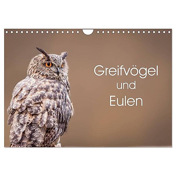 Greifvögel und Eulen (Wandkalender 2024 DIN A4 quer), CALVENDO Monatskalender, Markus van Hauten