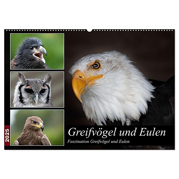Greifvögel und Eulen (Wandkalender 2025 DIN A2 quer), CALVENDO Monatskalender, Calvendo, Jürgen Trimbach