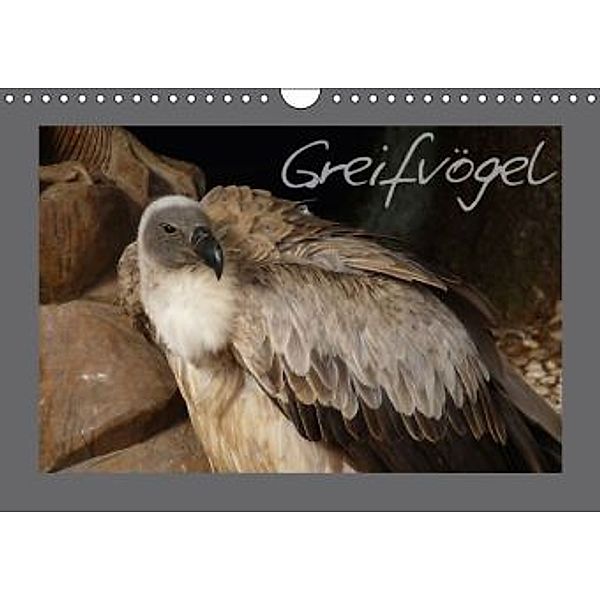 Greifvögel (Wandkalender 2015 DIN A4 quer)